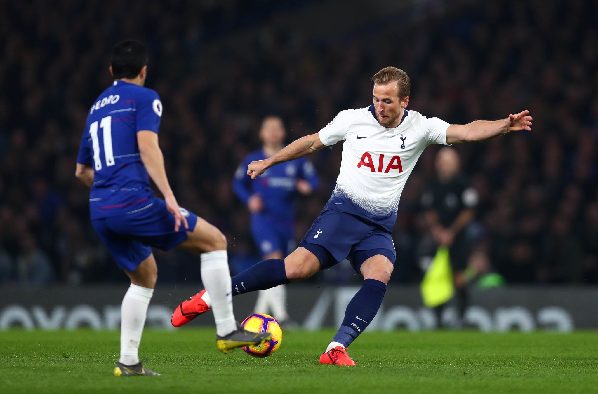 充满潜力的 充满潜力的